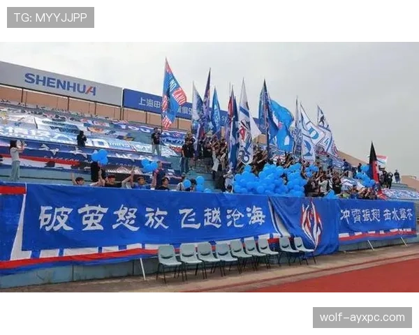 上海申花近轮联赛表现强势,中前场衔接与防守稳定性均有显著提升 上海申花近轮联赛表现强势,中前场衔接与防守稳定性均有显著提升
