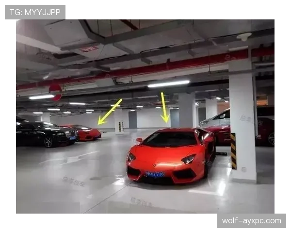 昌雅妮跳水冠军回家,邻居说她家车库停了三辆豪车 昌雅妮跳水冠军回家,邻居说她家车库停了三辆豪车